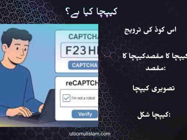 کیپچا کیا ہے؟